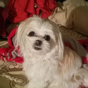 Meet your Posher, Nancy